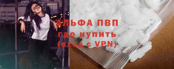 дурь Няндома