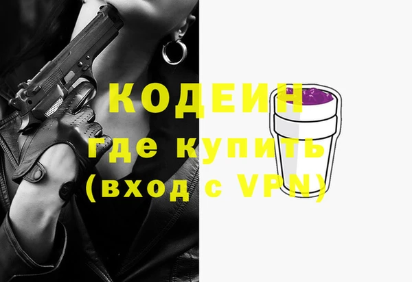 дурь Няндома