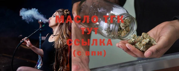 дурь Няндома