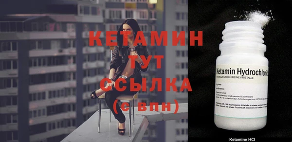 дурь Няндома