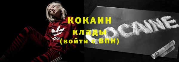 дурь Няндома