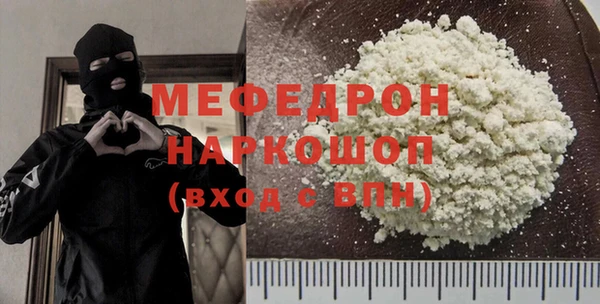 дурь Няндома