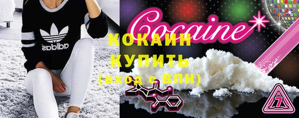 дурь Няндома