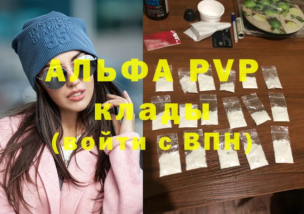 дурь Няндома