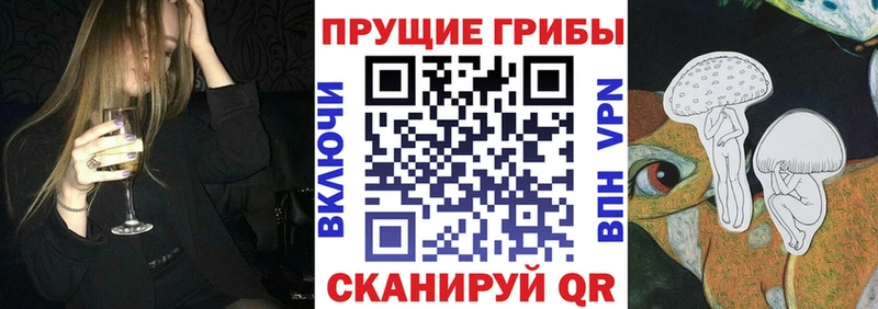 сколько стоит  Нахабино  это официальный сайт  Галлюциногенные грибы Psilocybine cubensis 