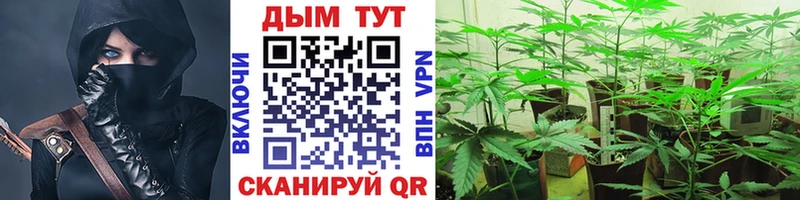 МАРИХУАНА THC 21%  Нахабино 